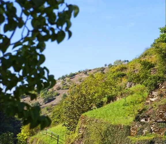 여관 Herrmannsmuhle