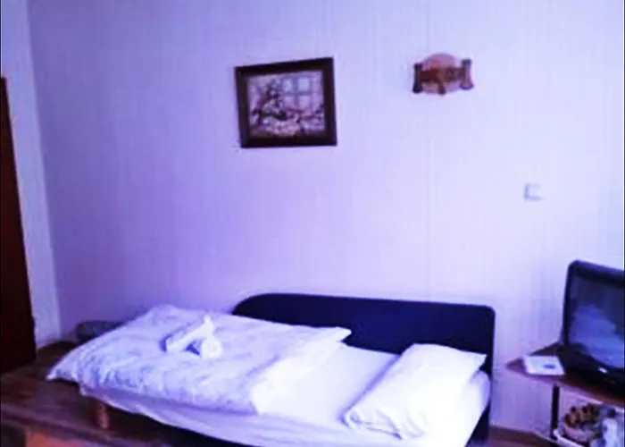 Herrmannsmuhle 여관